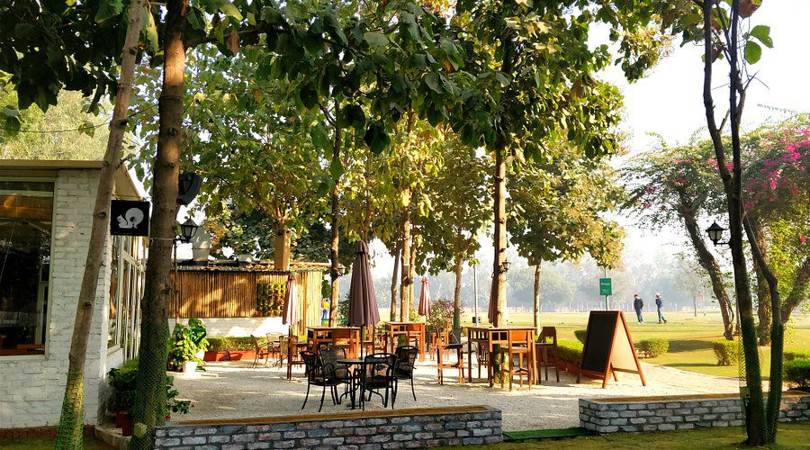 Hamoni: Cafe by the Greens – A Tranquil Escape